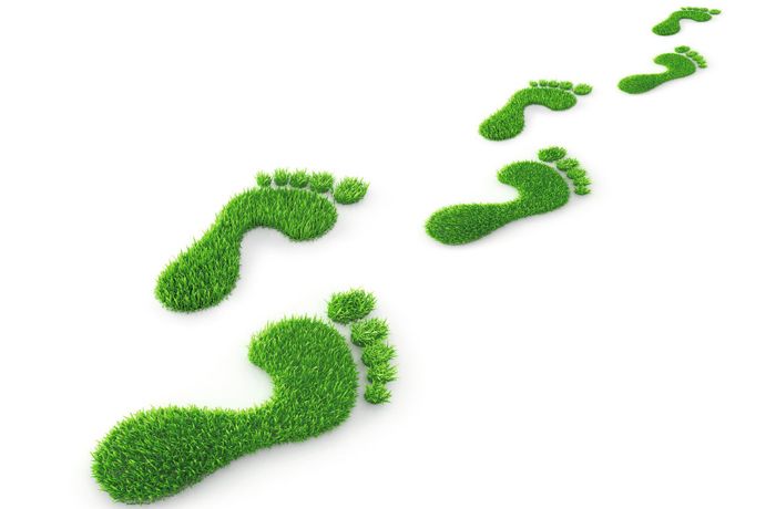 كورس البصمة الكربونية